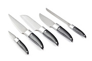 5-kitchen knife magnetic block – Laguiole Evolution Forgé Expression
