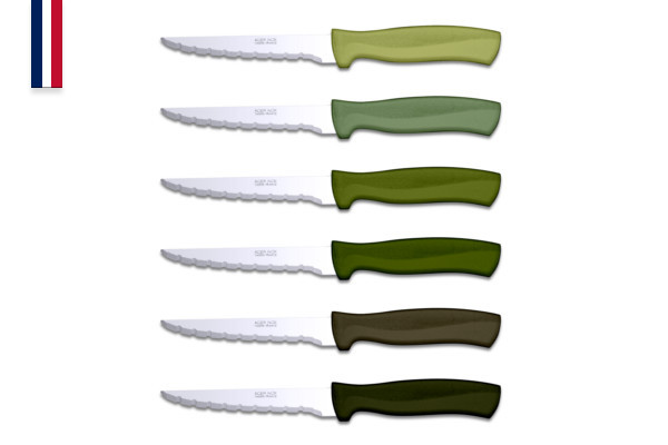 Record 6-piece green steak knife set 11-cm blades and knife block – Made in France