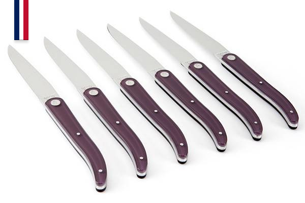 6-piece table knife set, 11cm blade, Laguiole Evolution Sens–Made In France