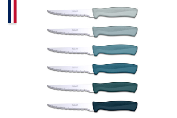 Record blue 6-piece steak knife set, tempered steel stainless blades and knife block – French-made