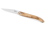 Laguiole Evolution Sens pocket knife 12cm – Foldable knife