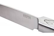 Carving knife Laguiole Evolution Expression 22cm, polymer handle