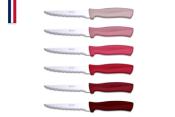 Record red 6-piece steak knife set, 11-cm tempered stainless steel blades - Made in France