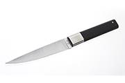 Absolu ABS -11 cm steak knife – Made In France