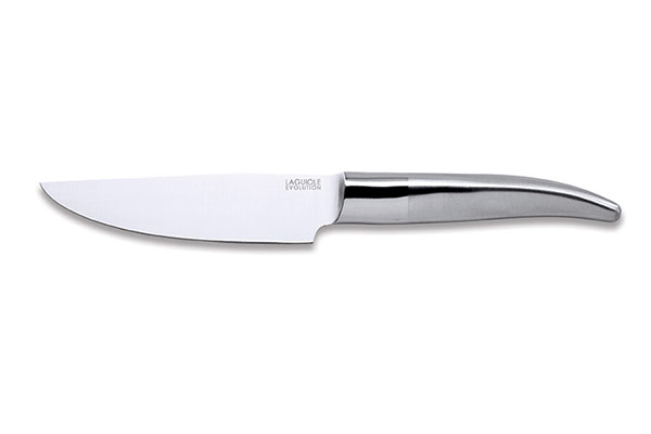 Laguiole Expression 16cm kitchen knife steel handle – TB cutlery