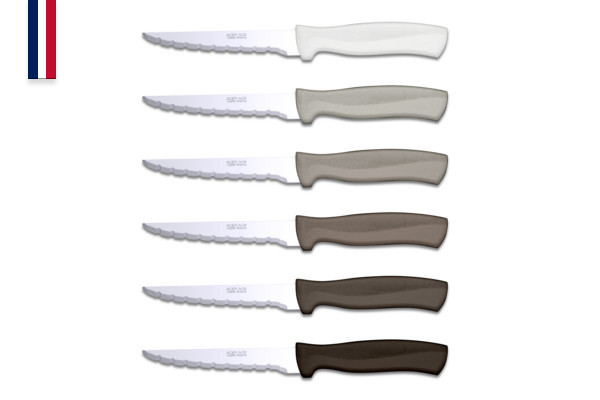 Record 6-piece stainless steel steak knife set 11-cm blade - Made in France